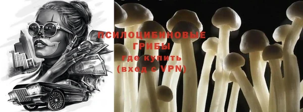 экстази Каменка