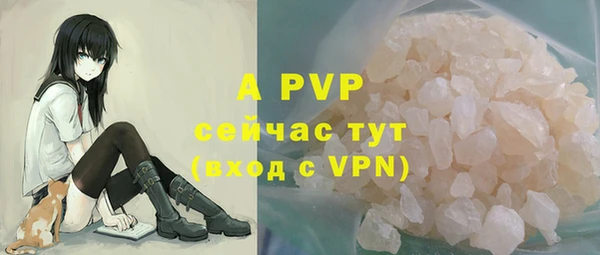 стаф Алексеевка